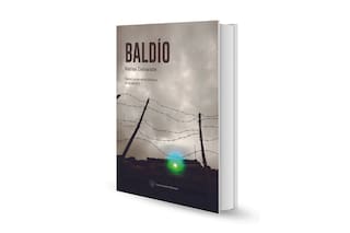 Baldío, de Matías Dalvarade