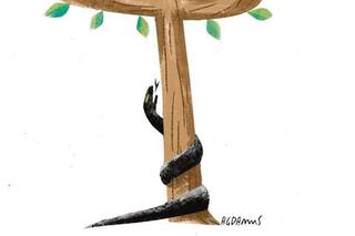 El germen del odio aún persiste