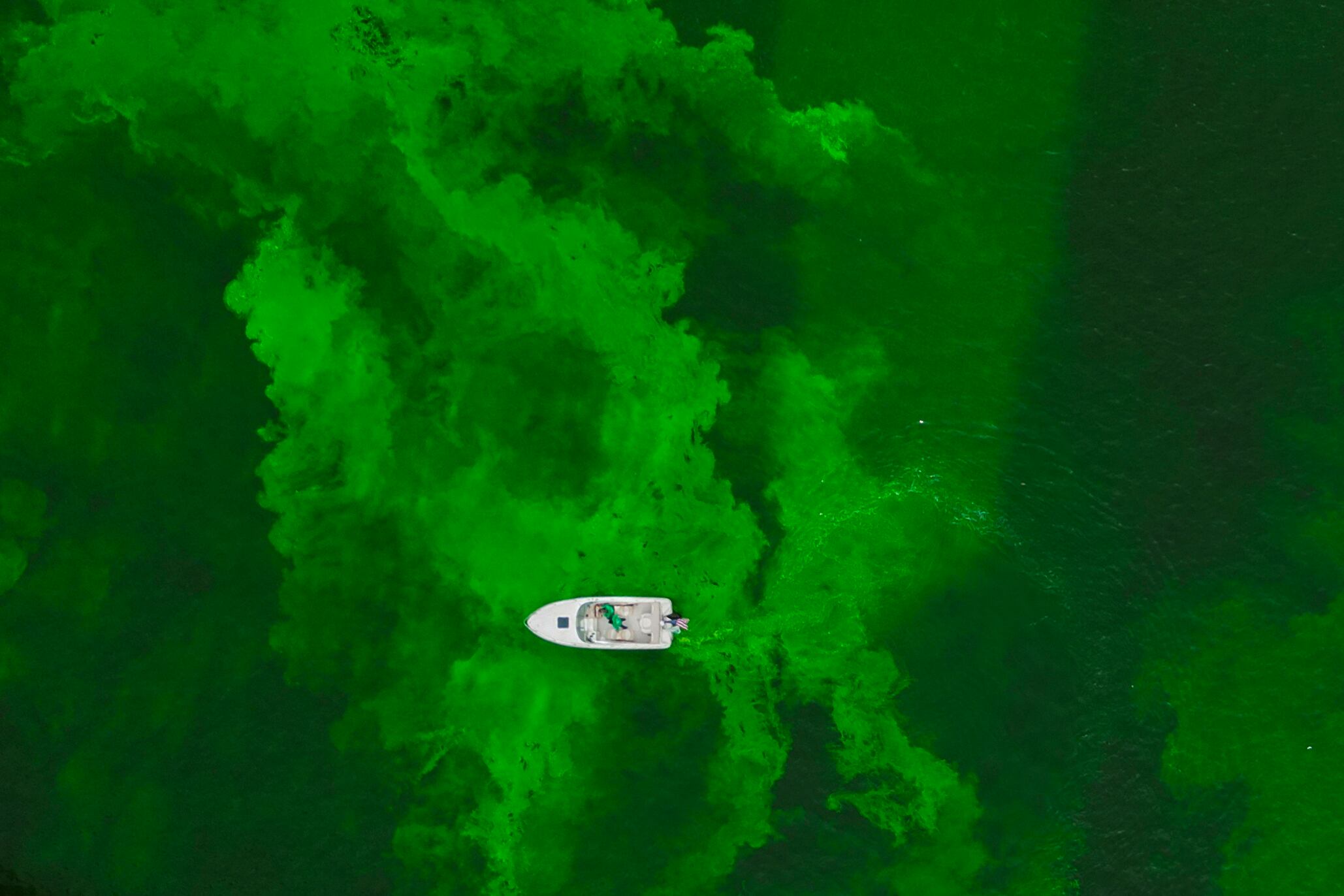 El río Chicago se tiñe de verde como parte de las festividades anuales del Día de San Patricio el sábado 15 de marzo de 2025, en Chicago. (AP foto/Erin Hooley)