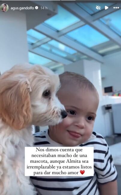 Agustina Gandolfo contó cómo fue el duelo tras el fallecimiento de Alma y la adaptación de la nueva mascota