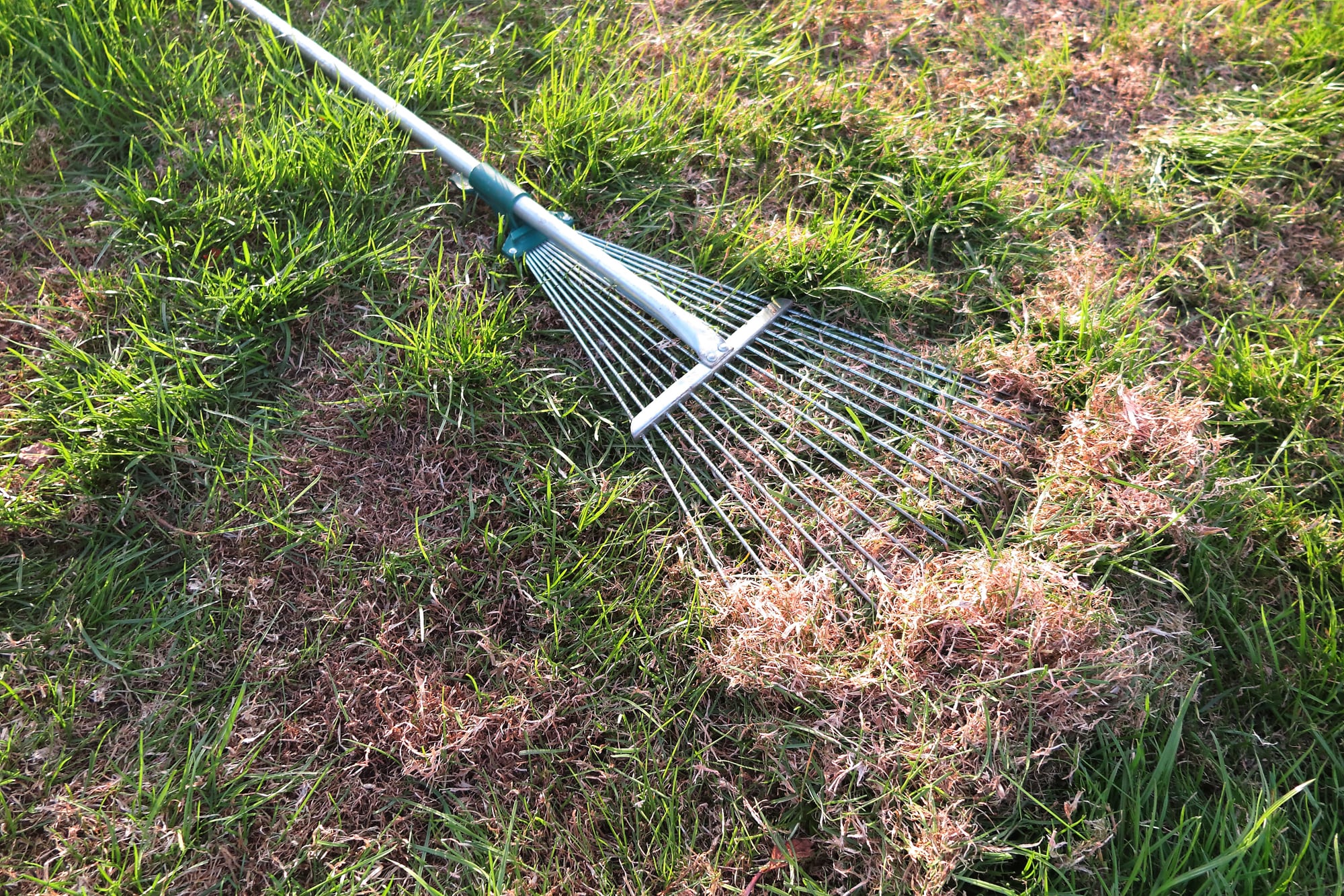 El monto por hora y por mes para los caseros