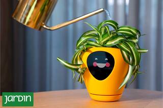 Sensores, apps y gadgets que ayudan a cuidar tus plantas