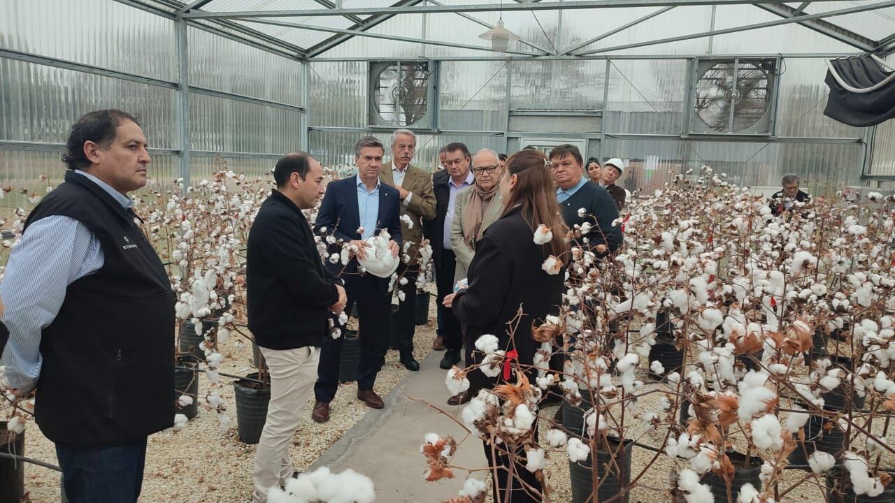 El gobernador Leandro Zdero recorrió las instalaciones de la planta y el invernáculo