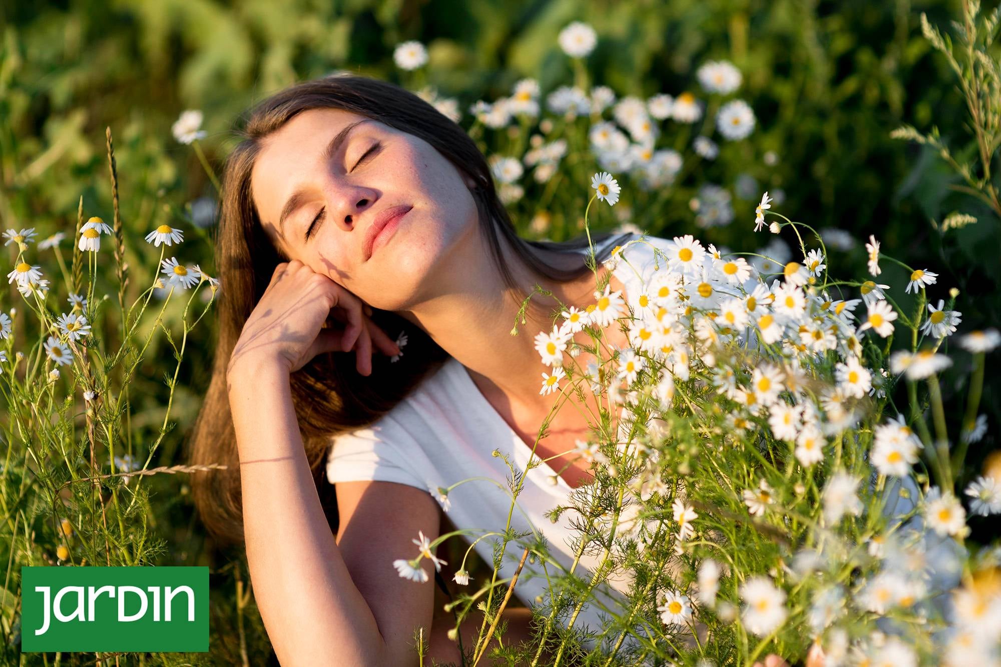 Plantas para dormir mejor: cuáles ayudan a relajar y cómo incorporarlas a la rutina nocturna