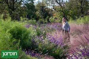Un jardín que abraza la casa, la atraviesa y hasta se sube al techo