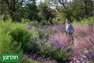 Un jardín que abraza la casa, la atraviesa y hasta se sube al techo