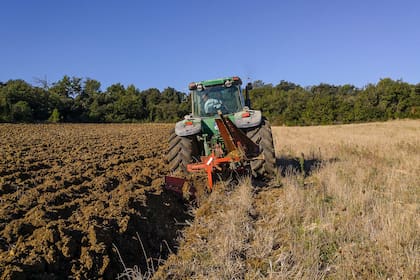 Hoy es el Día del Trabajador Rural