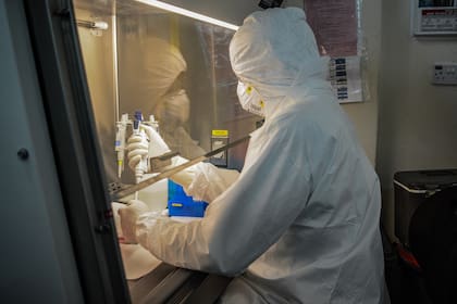 80 equipos de investigadores en distintos países trabajan para desarrollar una vacuna contra el coronavirus