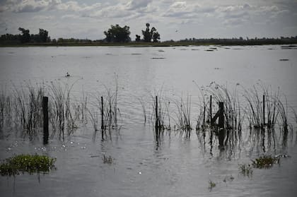 9 de Julio es uno de los partidos más afectados