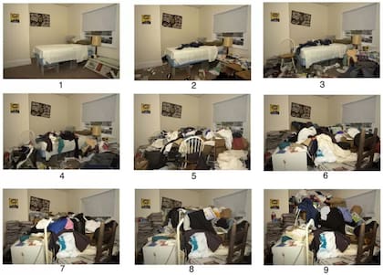 9 fotos de una habitación, ordenadas de 1 a 9 según la cantidad de objetos acumulados (1 es sin desorden, 9 es el grado más severo).
Provienen de un estudio publicado en el Journal of Psychopathology and Behavioral Assessment en 2008, e indican que, por encima de 3, estamos ante la presencia de un acumulador compulsivo.