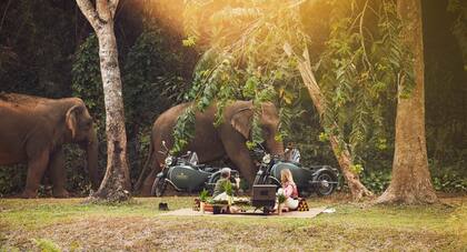 Triangle Resort & Elephant Camp