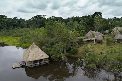 Se pueden encontrar diversas especies de animales endémicas de la región amazónica