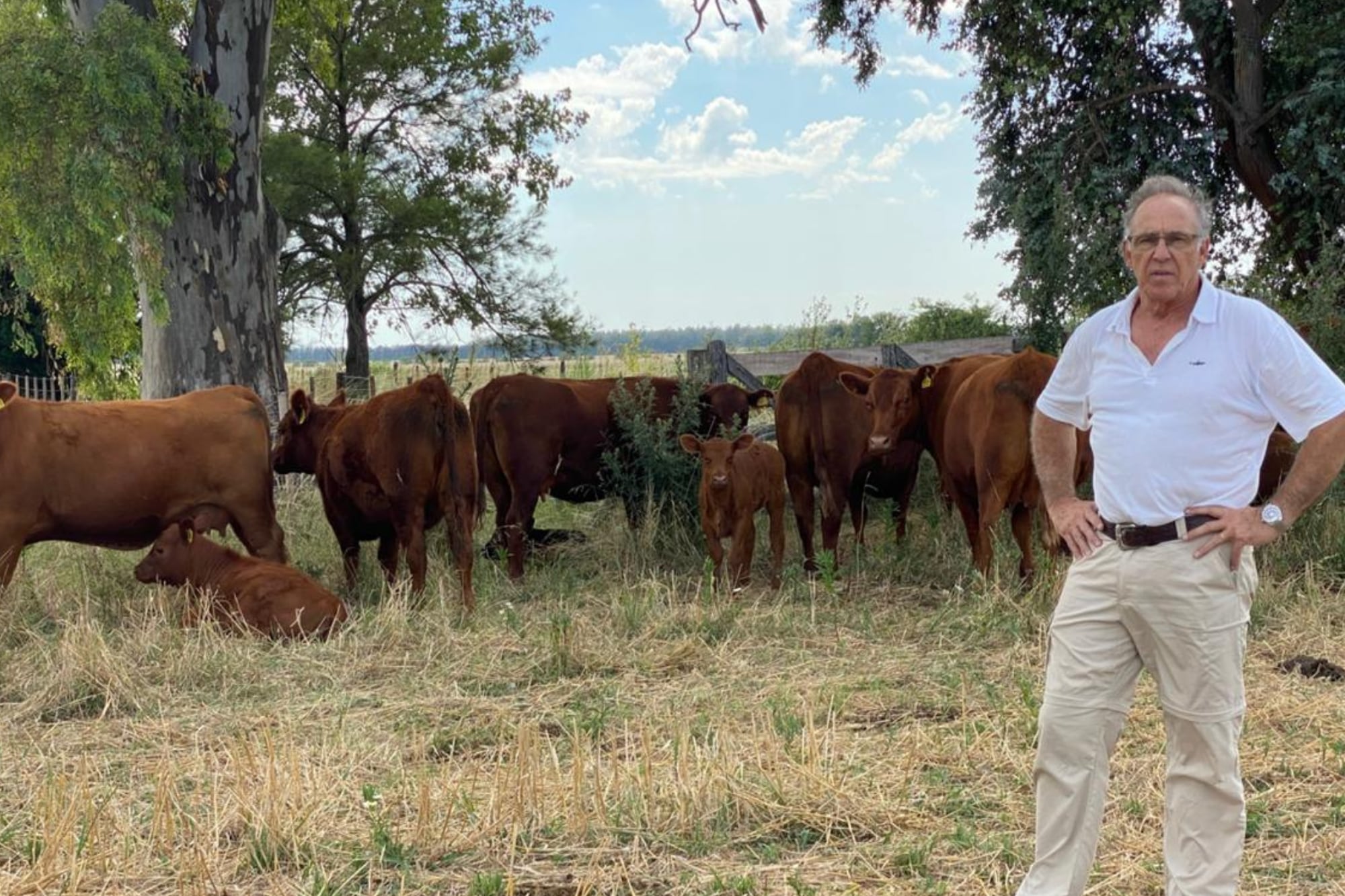 Jaime Mc Lean: el experto que le pone un segundo piso a los campos ganaderos