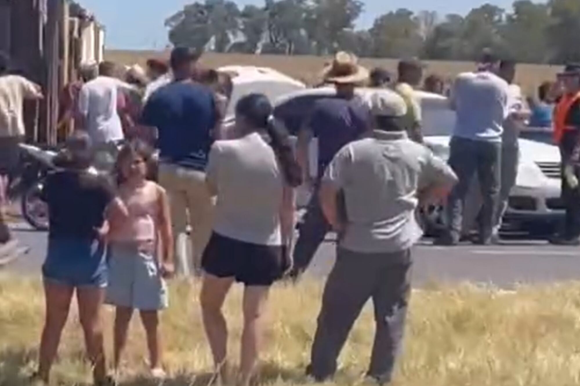 Tras el accidente, los vecinos faenaron los 75 animales