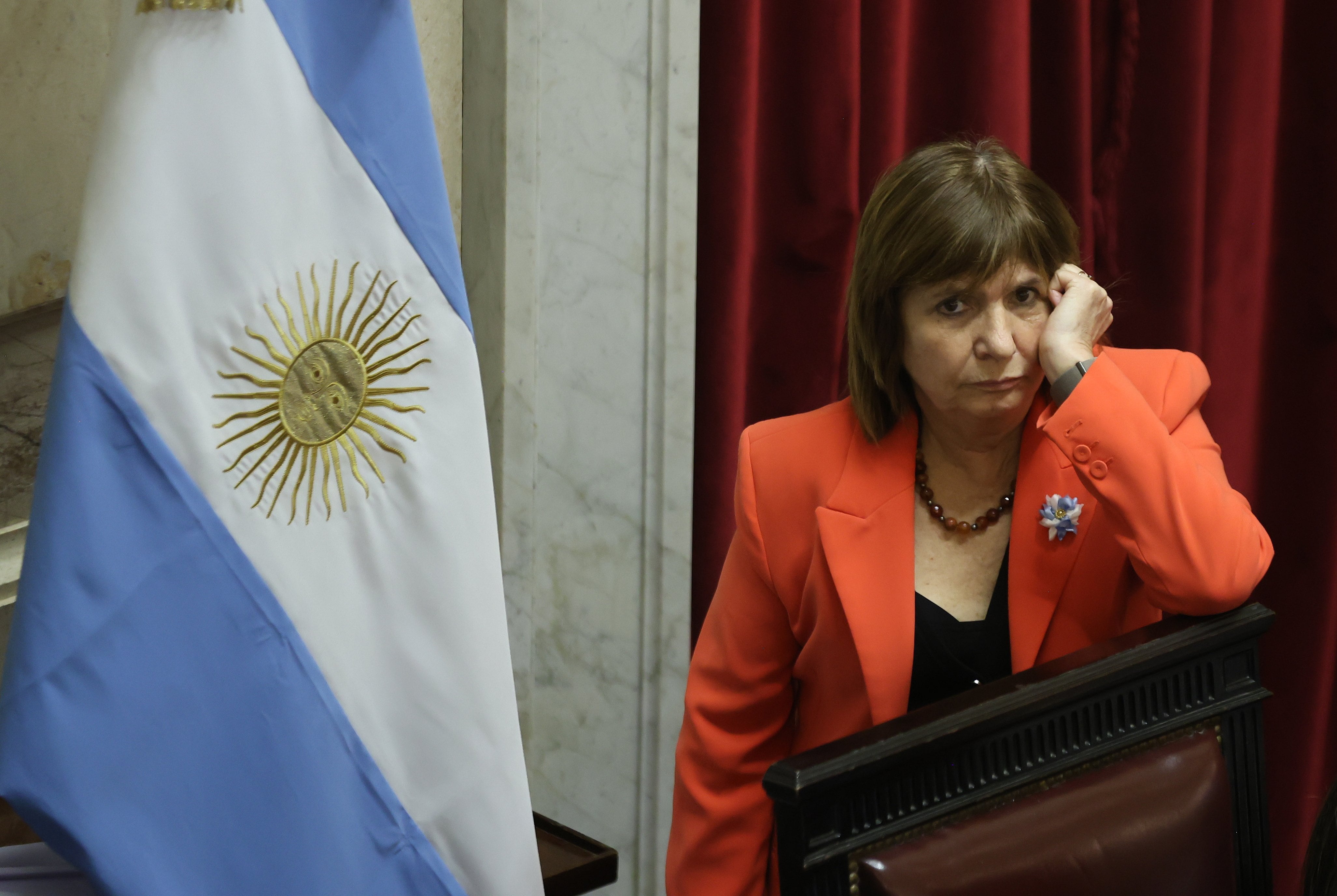 Ley de tierras: los aliados presionan a Patricia Bullrich para que el proyecto del Gobierno vuelva a comisión