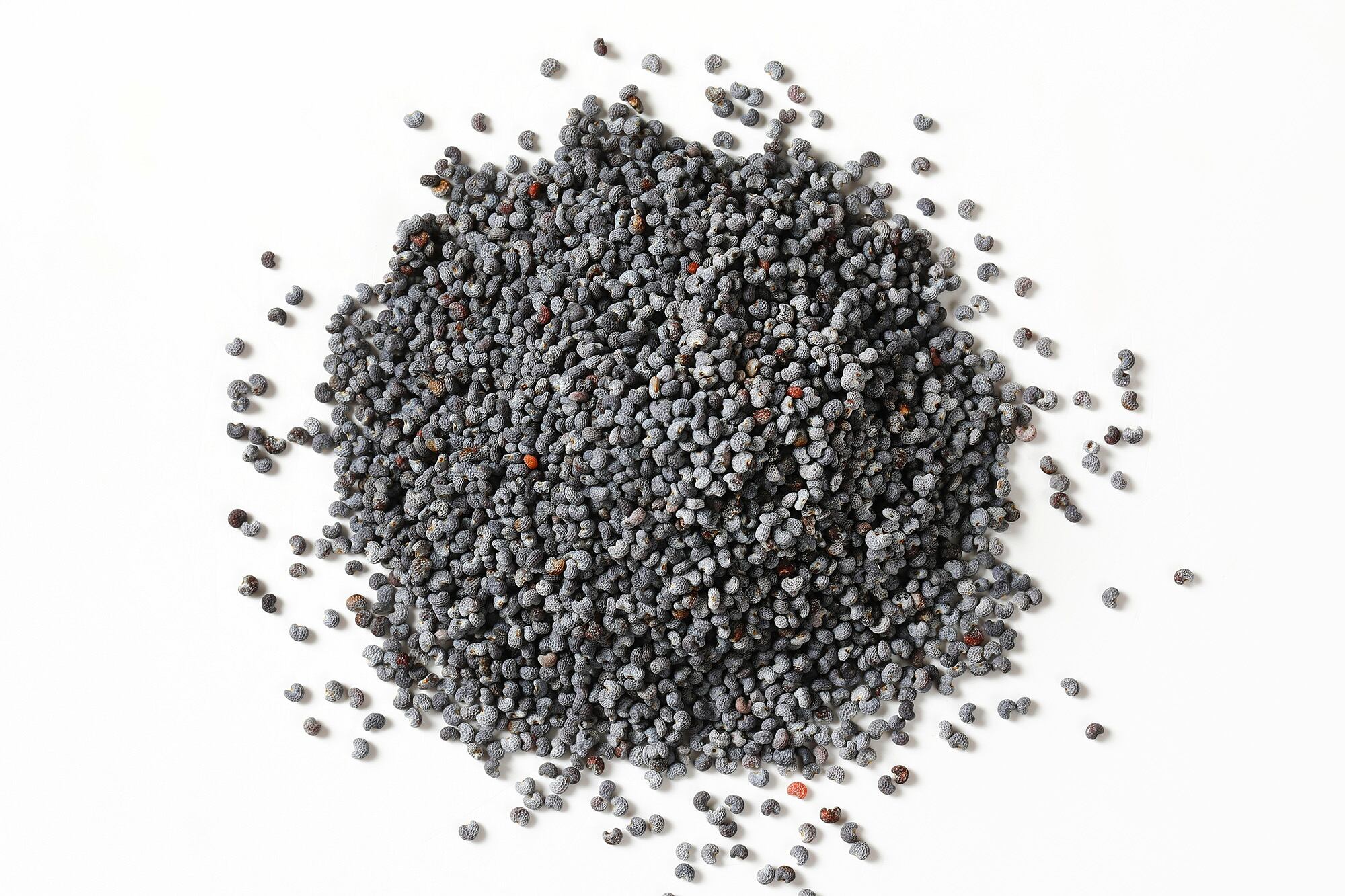 Las semillas de amapola son ricas en ácidos grasos esenciales, fibra y minerales en especial calcio, hierro y manganeso