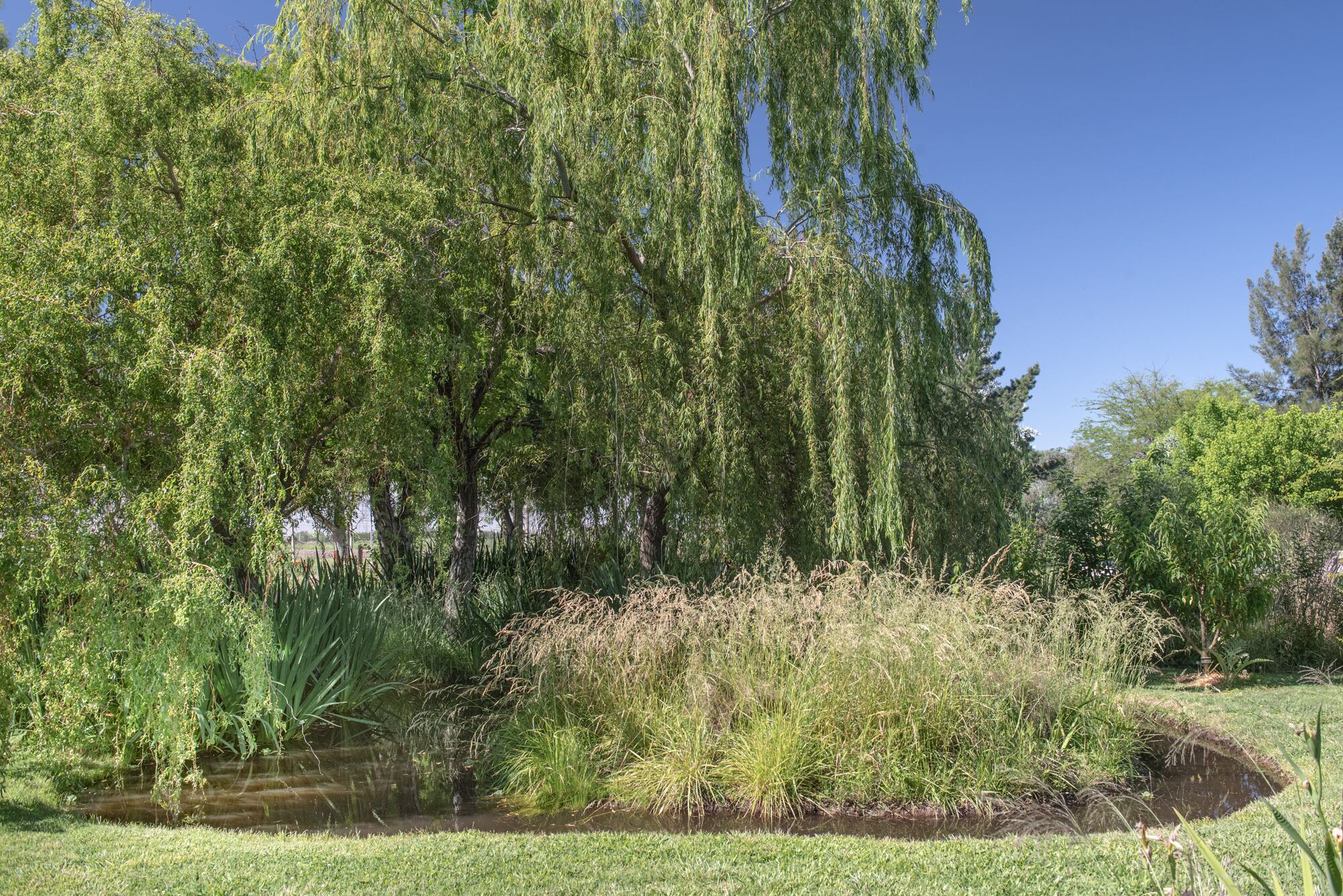 El jardín incluye una laguna que tiene dos islas.