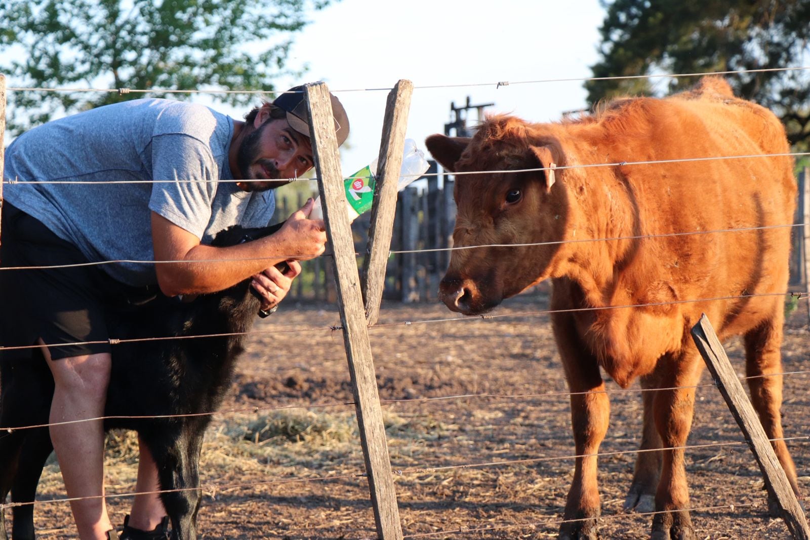 Malano transcurre sus días en su campo de Mercedes