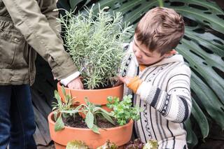 Vacaciones de invierno: cómo hacer una huerta vertical con los chicos