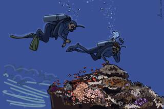 Un aterrador episodio de vértigo bajo el agua la llevó a descubrir un trastorno que suele pasar inadvertido