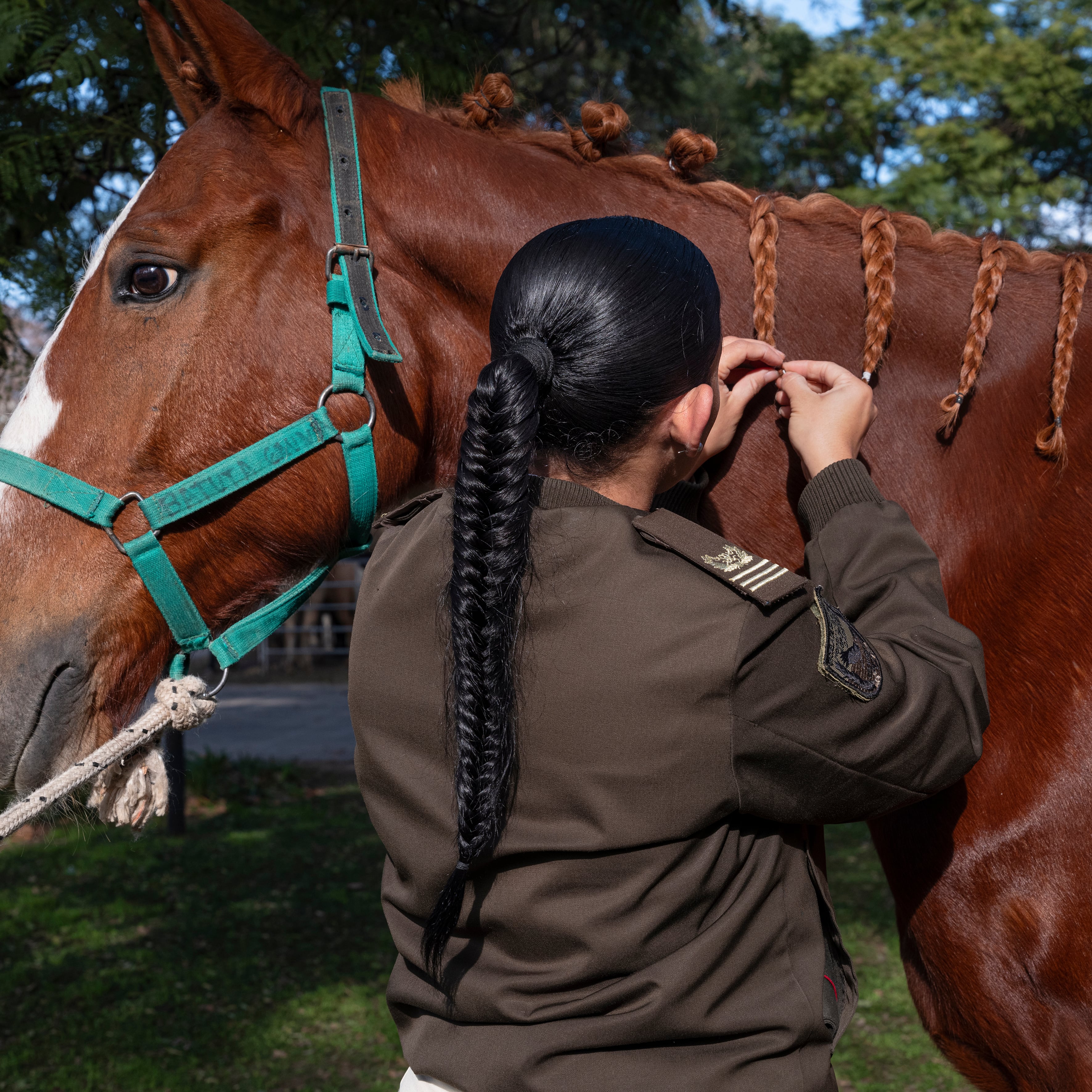 Una mujer, un caballo y trenzas gemelas