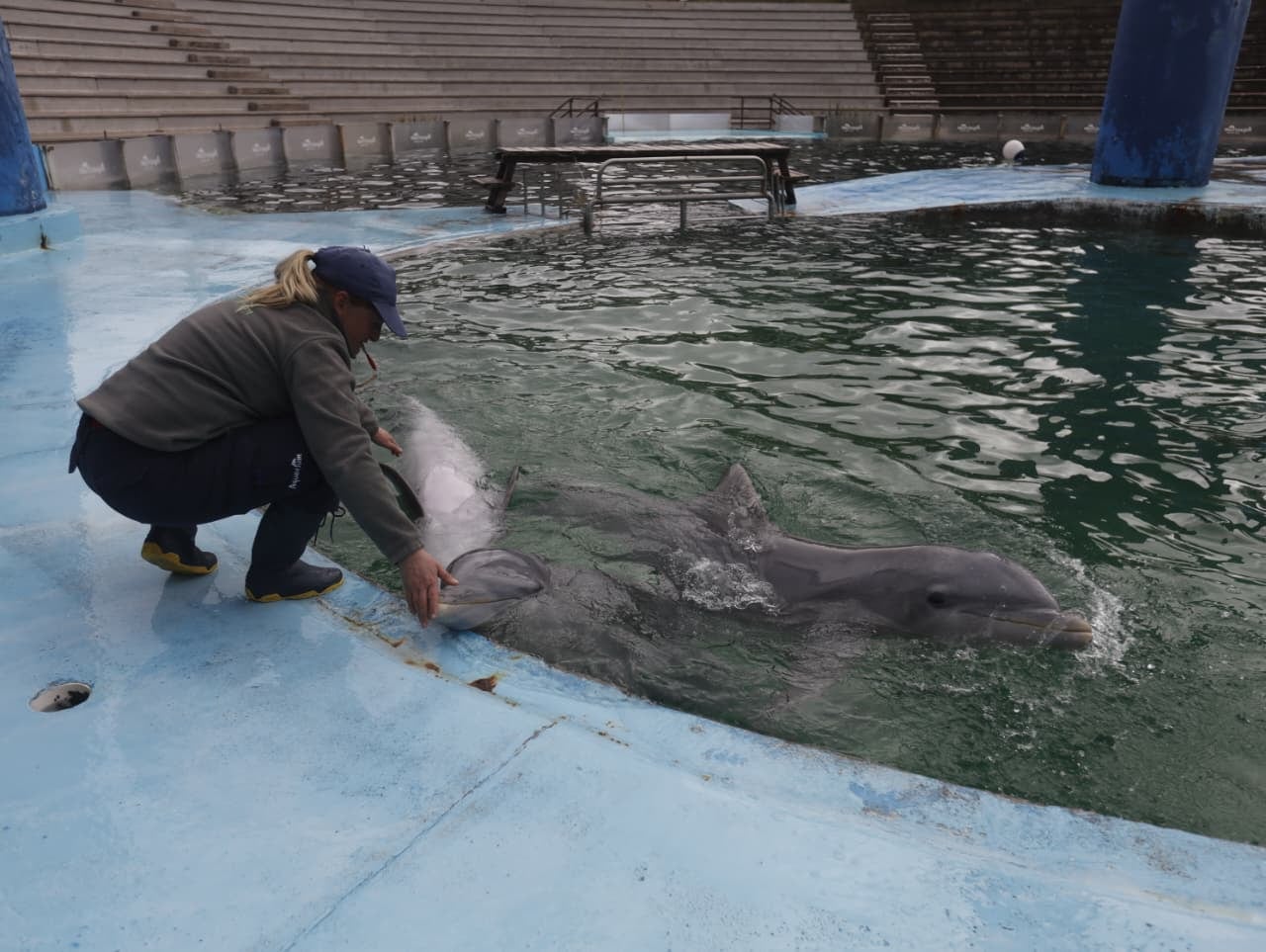 Hay 24 empleados que permanecen en el establecimiento al cuidado de los animales
