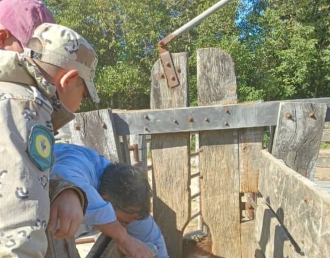 El dispositivo busca evitar que la salida acelerada de la hacienda durante la crecida facilite el robo de animales