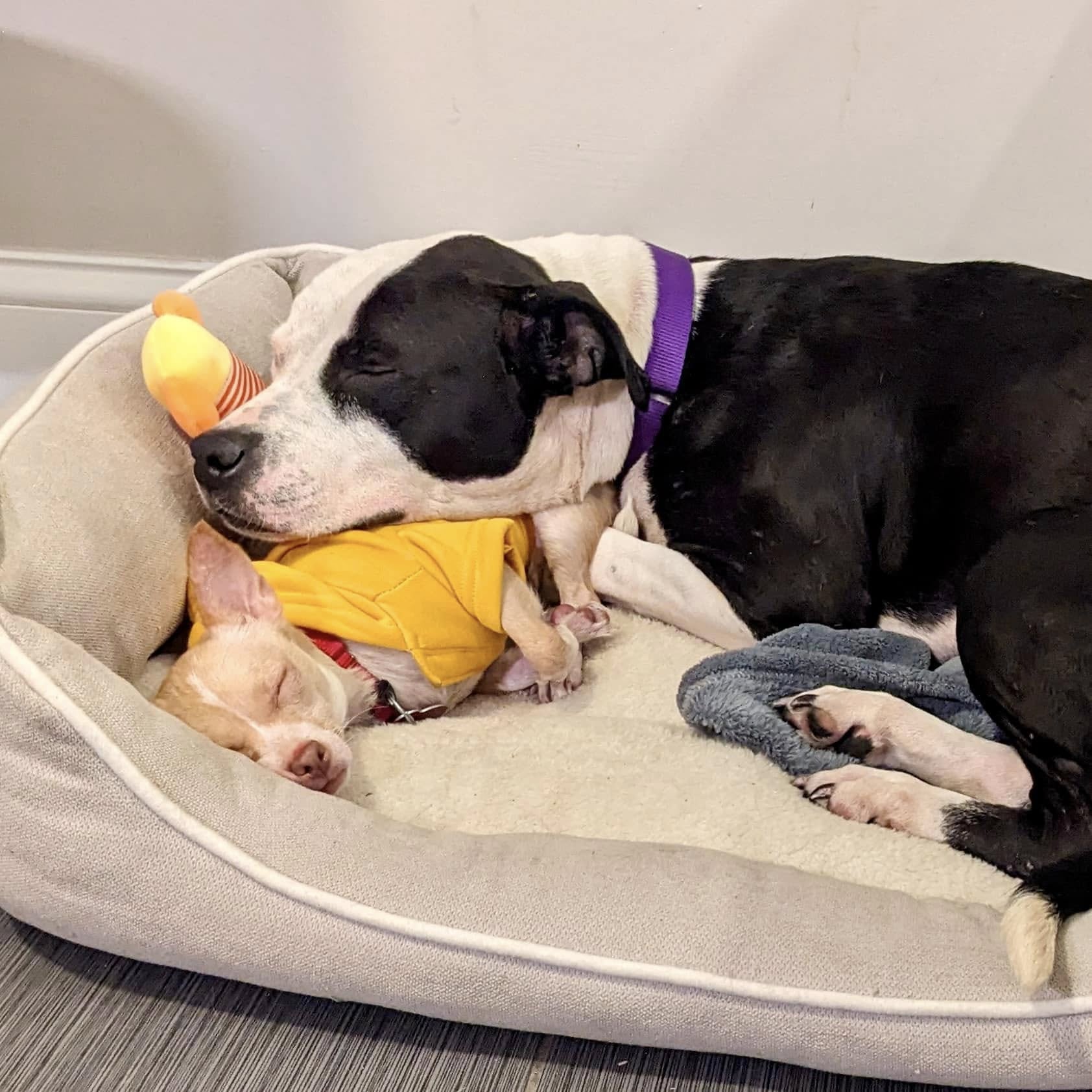 Karma y Gigi desarrollaron un vínculo inquebrantable que se fortaleció a medida que fue pasando el tiempo.