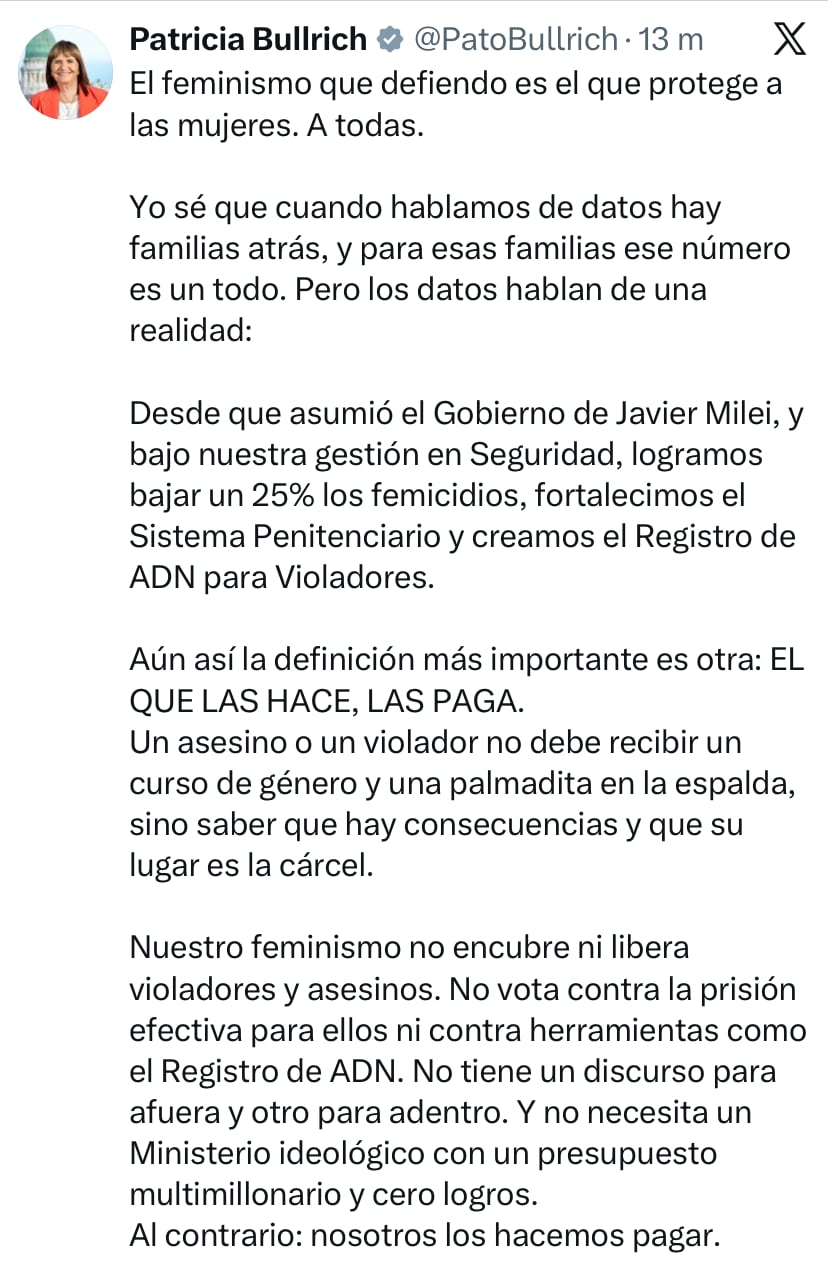 Las críticas de Patricia Bullrich frente a la marcha del Ni Una Menos: “Nuestro feminismo no encubre” El posteo de Bullrich