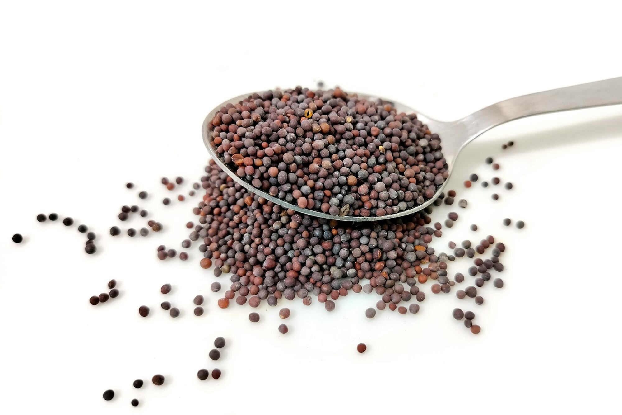 La mostaza negra (Sinapis nigra) tiene un sabor fuerte y picante, más intenso que el de la mostaza amarilla.