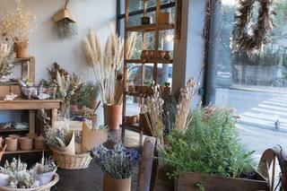 Cuatro tiendas para comprar plantas, flores y macetas con onda en Buenos Aires