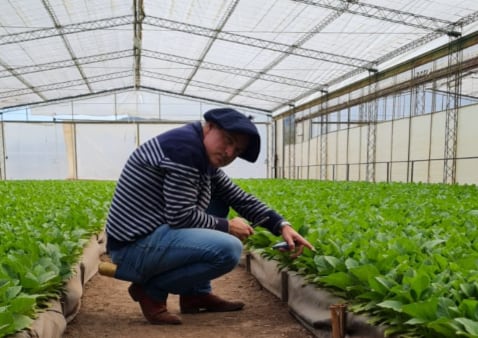 El productor explicó que se trata de una actividad intensiva en recursos y con escaso margen de reconversión