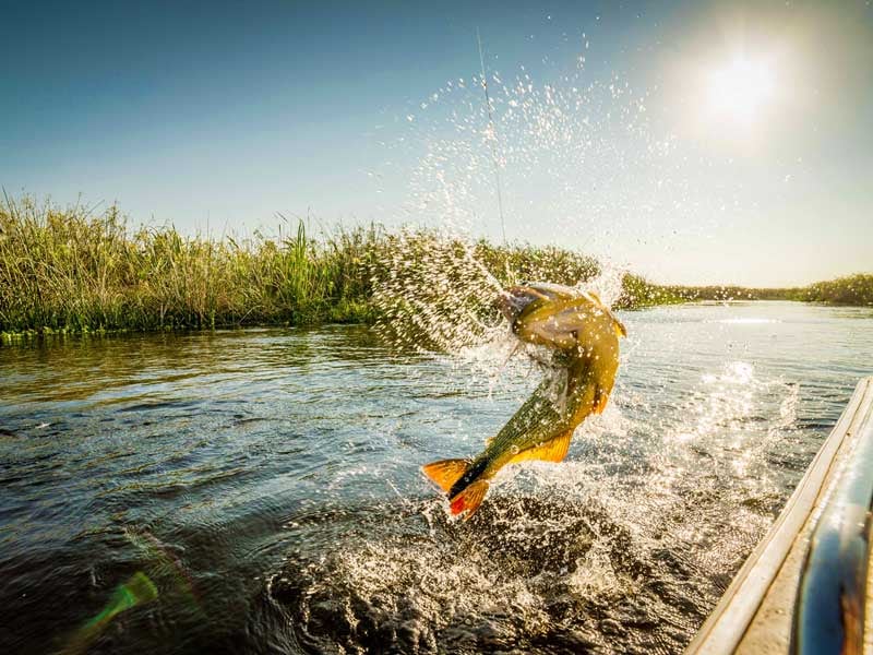 Las autoridades recuerdan la importancia de recrearse de manera responsable, promoviendo principios como 'no dejar rastro' y el uso adecuado de recursos para proteger el entorno natural