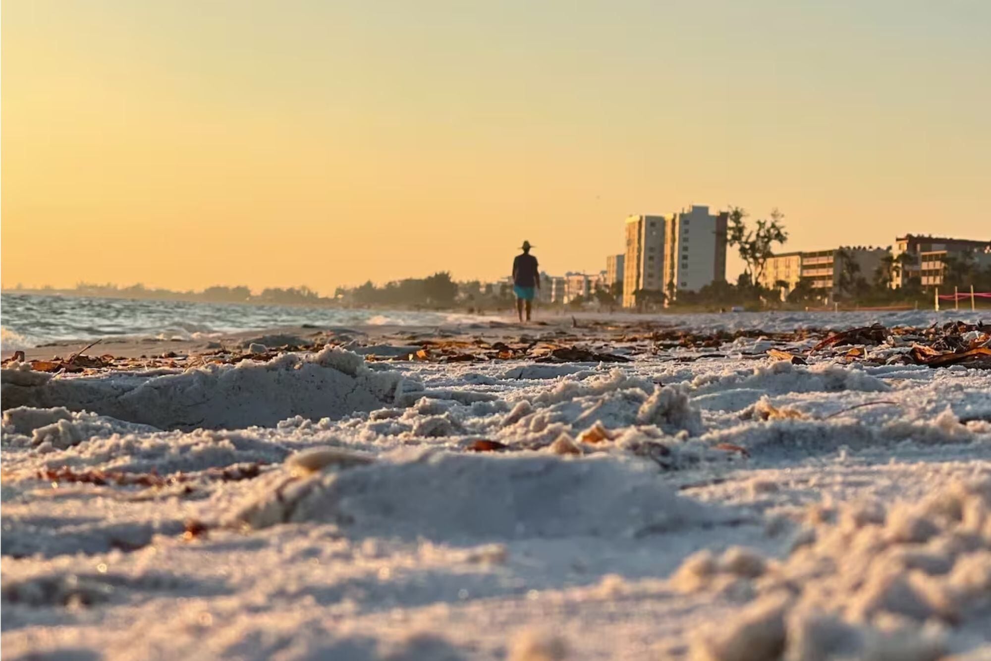 En Florida: a cuánto llegarían las temperaturas en Miami ante la entrada de una ola de frío polar