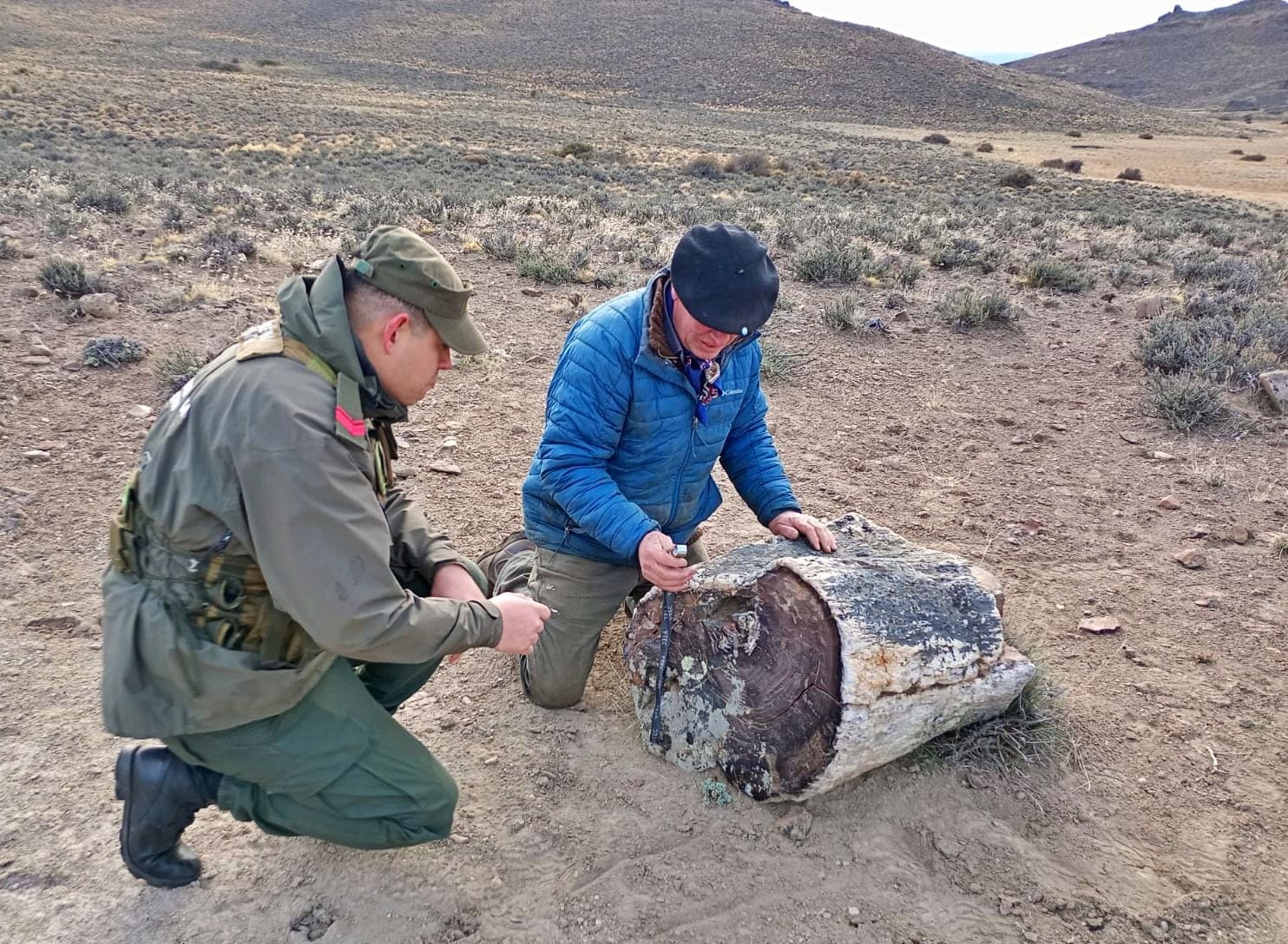 Sorpresa: la llamada desde una estancia que derivó en el hallazgo de un antiguo bosque preservado por 50 millones de años