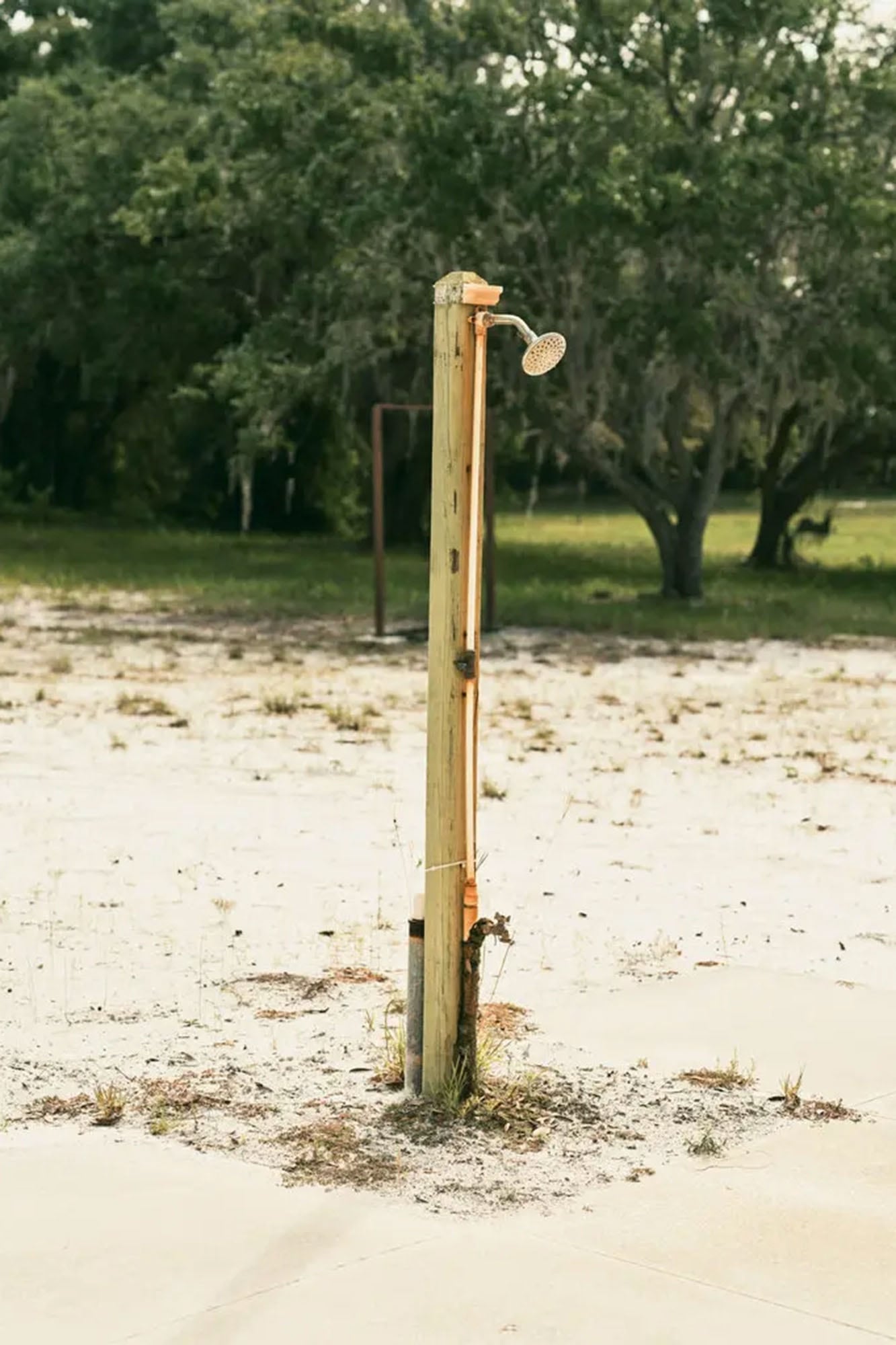 El parque podría tener pronto un nuevo propietario. El dueño de una empresa de aire acondicionado inspeccionó la propiedad