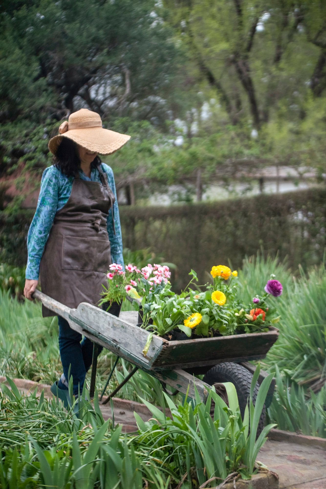 El vivero invita a plantar de todo, pero elegir especies según las condiciones del jardín es clave para que prosperen