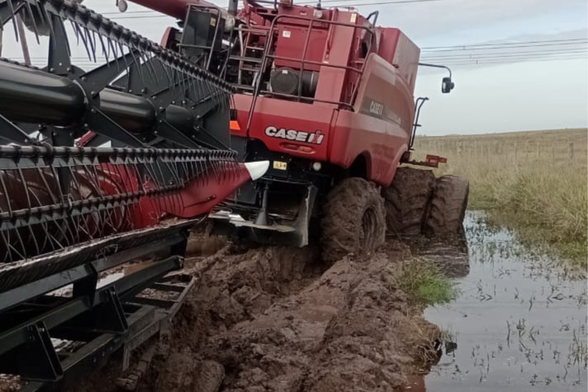 Hay zonas donde se complicó la cosecha por el mal estado de los caminos para pasar con la maquinaria