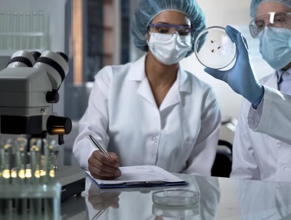 2000 especies de insectos forman parte habitual de la dieta de miles de millones de personas en distintas regiones del planeta