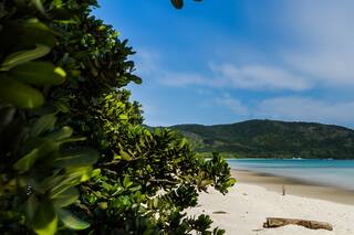 Estas son las mejores playas de Río de Janeiro