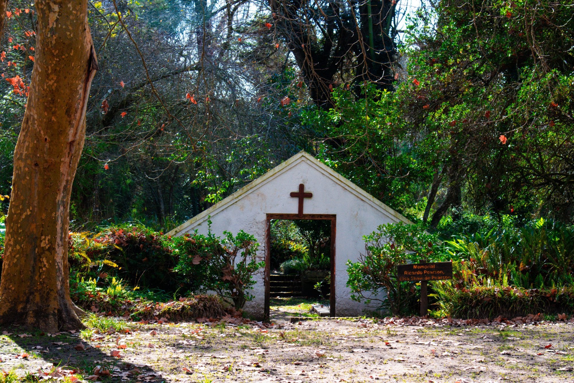 La única premisa allí es dejar de lado equipos de música y parlantes, para escuchar los sonidos de la naturaleza