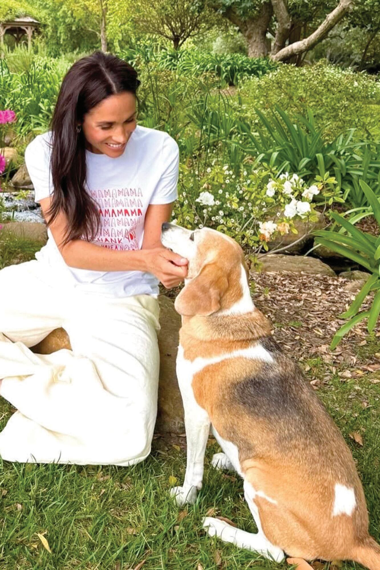 PULA, GUY Y MIA. Desde que en 2020 se mudaron a Montecito, California, el príncipe Harry y Meghan Markle llevan adoptando tres perros, todos encontrados en refugios de Los Ángeles. A estos animales se los suele ver en sus cuentas de Instagram, jugando con sus hijos, Archie y Lilibet. Ahora dieron un paso más: sumaron una gallina, Sinkie, que vivía en lo de su vecina, Ellen De Generes.