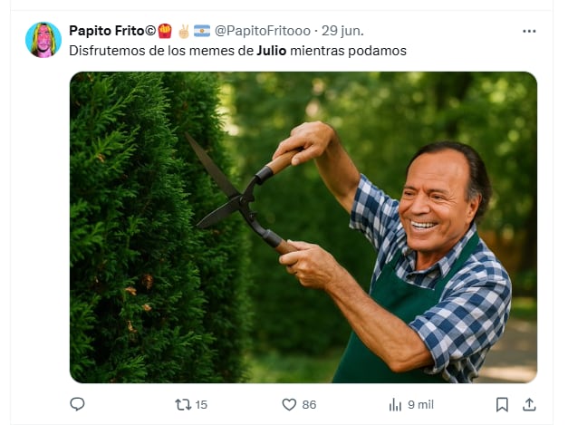 Julio llegó con muchos memes en X (Foto: Captura X/@PapitoFritooo)