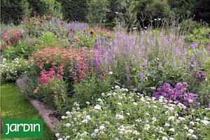 Qué se puede hacer cuando los canteros envejecen y pierden su encanto