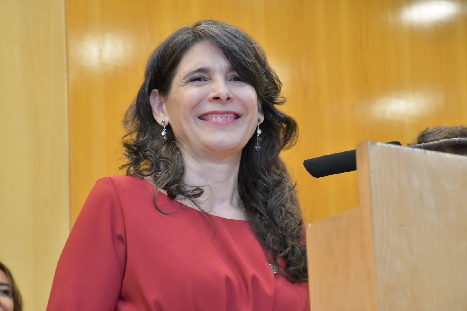 Alejandra García, presidenta del Colegio de la Abogacía de la Capital Federal