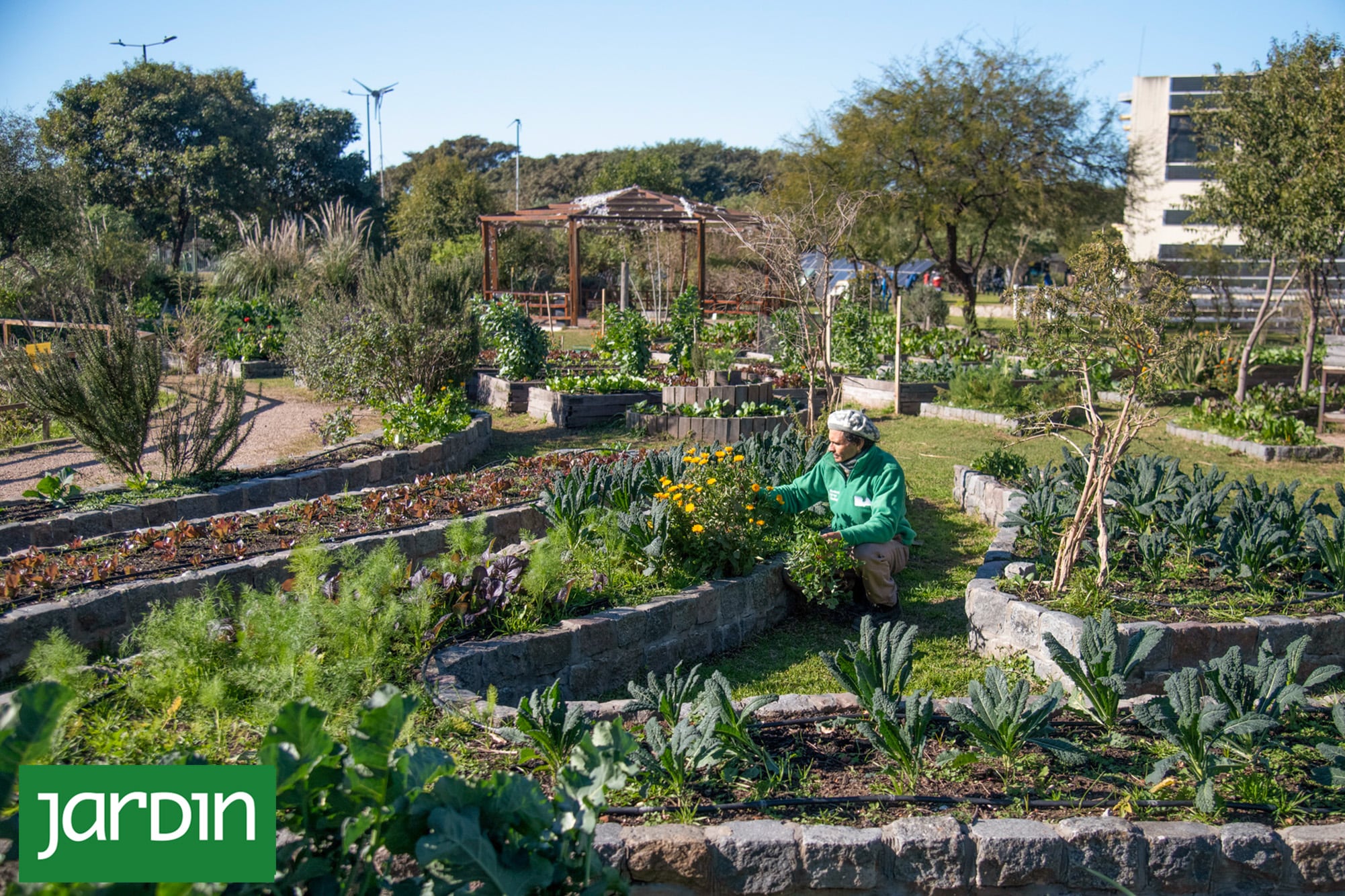 En Villa Soldati, un paseo ambiental enseña a cuidar el planeta