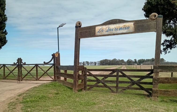 En un plazo de 60 días, el municipio deberá reparar y mantener con una periodicidad razonable los caminos que permiten acceder al establecimiento rural La Querencia SA, de unas 591 hectáreas, propiedad de Gastón Aguirre