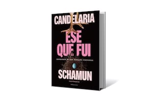 Reseña: Ese que fui, de Candelaria Schamun