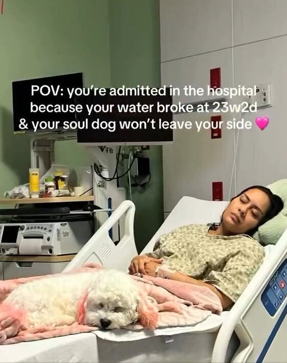 Charli junto a Arianna en un hospital de los Estados Unidos