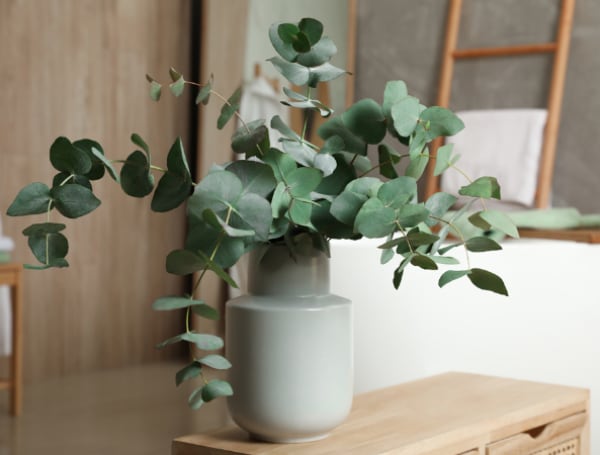 Favorece la circulación sanguínea. Foto: iStock